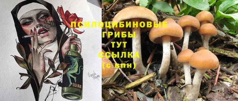 Галлюциногенные грибы Magic Shrooms  Десногорск 